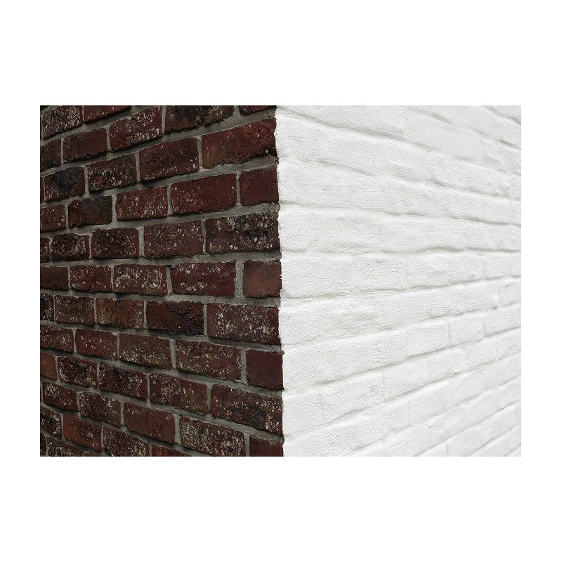 Imbiancatura strutturata - Pittura minerale - Seifert