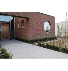 Conquista em tamanho antigo