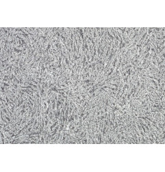 Pierre Bleue Belge Givré