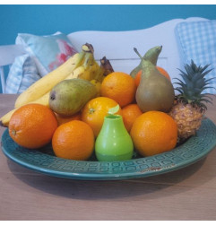 Fruitvliegjesval navulling - HGX