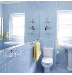 Eco 窗户清洁剂 500 毫升 - HG