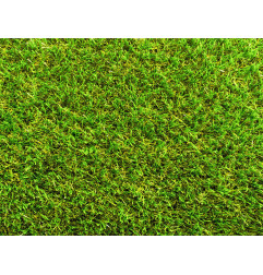 Gazon Synthétique - Green Chantelle - Nam Grass