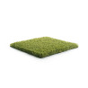 Gazon Synthétique - Green Motion - Nam Grass Gazon Synthétique - Green Motion - Nam Grass