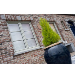 Limiar e suporte-standard-Belgian Blue Stone-ON MESURE