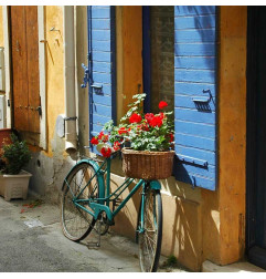 Краска многоцелевая Top3+ - OXI