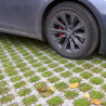 TrafiDal - Lawn tile for heavy and intens traffic - MatGeco TrafiDal - Lawn tile for heavy and intens traffic - MatGeco
