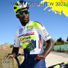 Maglia ufficiale della squadra Intermarché - Circus - Wanty - ICW 2023 Maglia ufficiale della squadra Intermarché - Circus - Wanty - ICW 2023