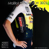 Maglia ufficiale della squadra Intermarché - Circus - Wanty - ICW 2023 Maglia ufficiale della squadra Intermarché - Circus - Wanty - ICW 2023
