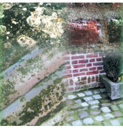 Anti-verdissures décontaminant - OXI