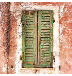 Реструктурирующий фиксатор для фасадов - Грунтовка - OXI