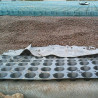 DrainoTech G20 - Drainage und Wasserrückhaltung für Gründächer - Matgeco DrainoTech G20 - Drainage und Wasserrückhaltung für Gründächer - Matgeco
