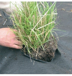 Weedtex - Geotextiel voor onkruidbestrijding - Matgeco