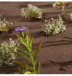 BioWeedtex - Ecologisch en biologisch afbreekbaar geotextiel tegen onkruid - Matgeco