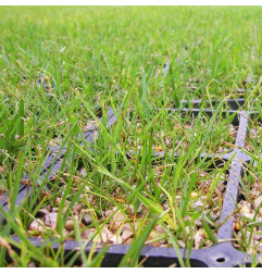 GeoDal 50 - Heavy duty 50mm plastic turf tile - MatGeco