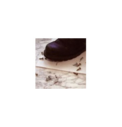 PROCELL FILM, 50 m²