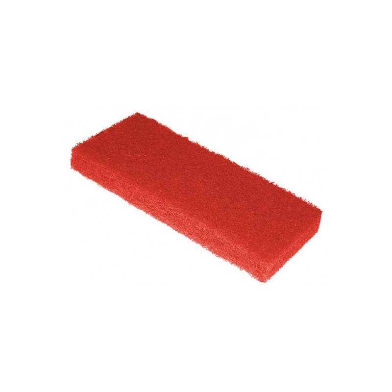 ION Reinigungsschwamm - Akemi