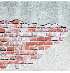 Behandeling tegen salpeter - OXI