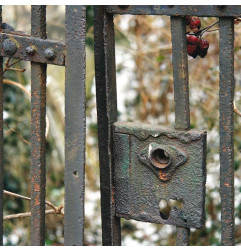 L'efficace - Removedor de ferrugem - OXI