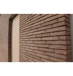 Thrombozyten Linea 7022 violett-braun-grau