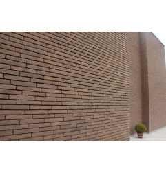 Thrombozyten Linea 7022 violett-braun-grau