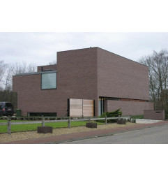 Bloedplaatjes Linea 8012 Violet