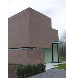 Bloedplaatjes Linea 8012 Violet