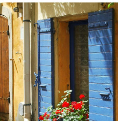 Direct wood paint - OXI