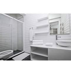 Montage clear - Polymer-Montagekleber - Rectavit