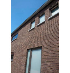 血小板塞普姆 8025 棕色地球不是短面包