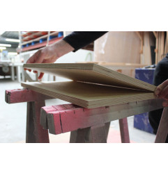 1069 Powerspray - لاصق تلامس عالمي - Rectavit