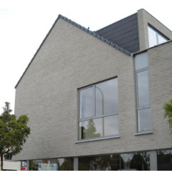 Thrombozyten Septem 7030 grau sandgestrahlt Stein