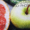 EcoStar Fußmatte – ColorStar – Logo und HD-Foto – MAM