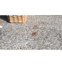 Ca Clean - Enlève rouille, calcaire et voile de ciment - Tec7