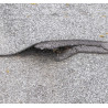 WP7-301 : pâte de réparation étanche toiture