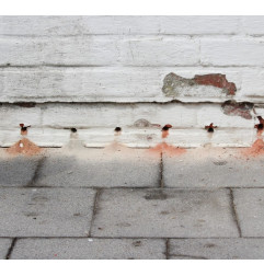 WP7-402 Stop Rising Damp - инъекционный крем для стен - Tec7