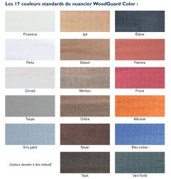 WoodGuard Color AntiGraffiti - защита от граффити - Guard Industrie