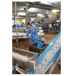 المجرفة 5625 - مقبض مستقيم 271 مم - فيكان