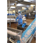 Schaufel 5625 - 271 mm gerader Stiel - Vikan Schaufel 5625 - 271 mm gerader Stiel - Vikan