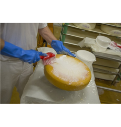 Cepillo de mano 4194 - 270 mm, mango corto suave/floreado - Vikan