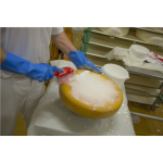 فرشاة يدوية 4194 - مقبض قصير ناعم/مزهر 270 مم - فيكان