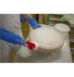 Spazzola manuale 4198 - manico morbido corto 270mm - Vikan