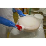 Spazzola manuale 4198 - manico morbido corto 270mm - Vikan Spazzola manuale 4198 - manico morbido corto 270mm - Vikan