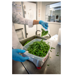 مجرفة يدوية 1 لتر 5668 - معادن وأشعة - فيكان