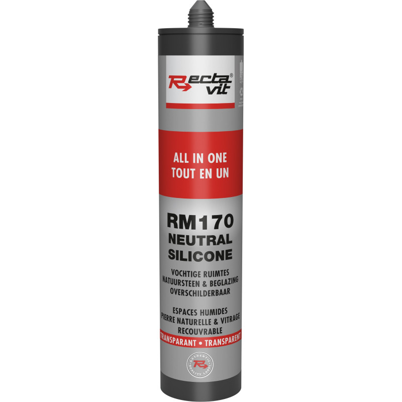 RM 170 silicone neutro tutto in uno - Stucco universale - Rectavit