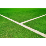 Footcal - White Lines Tracing - Carmeuse