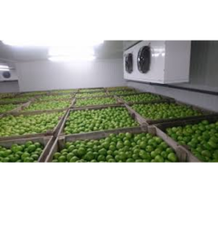 Fruitcal - Conservação de frutas e vegetais - Carmeuse