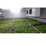 Fruitcal - Conservación de frutas y verduras - Carmeuse