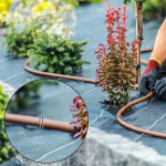 Gancho de sujeción de membrana para plantaciones Line-Eco Gancho de sujeción de membrana para plantaciones Line-Eco