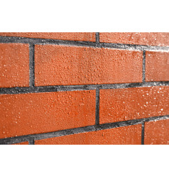 Parafuge Facade F - Liquido protettivo idrofobico a base solvente - DL Chemicals