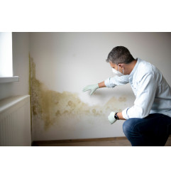 Parafuge Inject G – Lösungsmittelfreie Injektionscreme auf Silan- und Wasserbasis – DL Chemicals